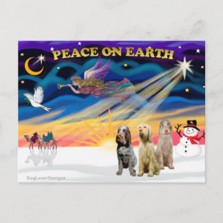 Xmas Sunrise - Drei italienische Spinone Feiertagspostkarte