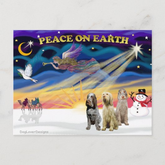 Xmas Sunrise - Drei italienische Spinone Feiertagspostkarte (Vorderseite)