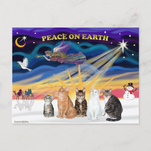 Xmas Sunrise - Fünf Katzen (AmSH) Feiertagspostkarte (Vorderseite)