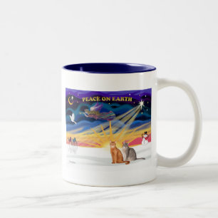 Xmas Sunrise - Zwei abessinische Katzen Zweifarbige Tasse