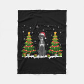 Xmas Tree Lights Great Dane Dog Weihnachtsmannmütz Fleecedecke (Vorderseite)