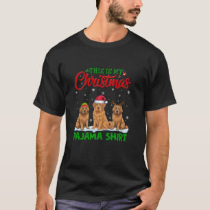 Xmas Weihnachtsmannmütze Reindeer Briard Dog Chris T-Shirt