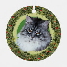 XMas Wreath Maine Coon Cat