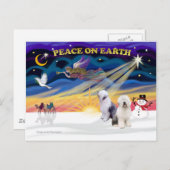 XmasSunrise-Zwei-Alte Englische Schafhund Feiertagspostkarte (Vorne/Hinten)