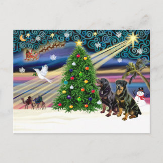 Xms Magic-2 ROTTWEILERS Feiertagspostkarte