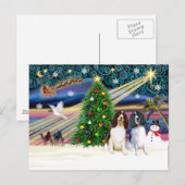 Xms Magic-2EngSpringer LivWht+Blk Postkarte (Vorne/Hinten)