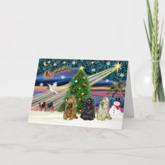 Xms Magic-3Cockers-blass Feiertagskarte