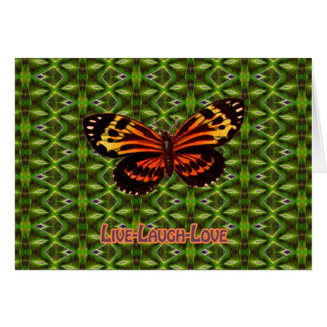 XNP102-031 (Vorderseite (Horizontal))