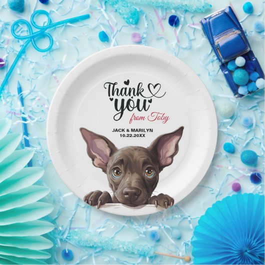 Xoloitzcuinti Dog Pappteller (Party)