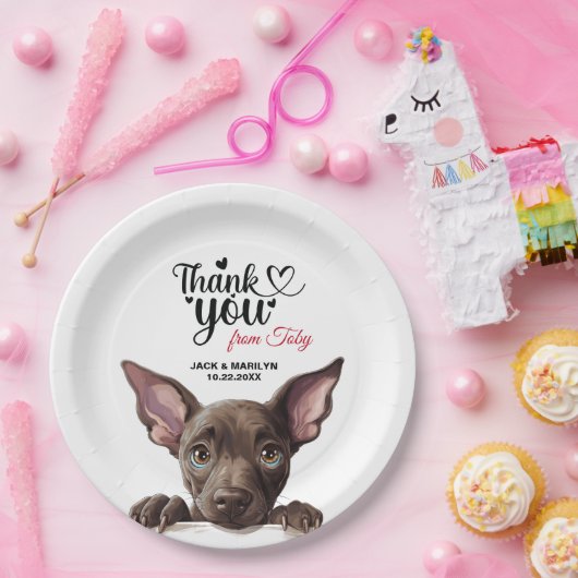 Xoloitzcuinti Dog Pappteller (Party)