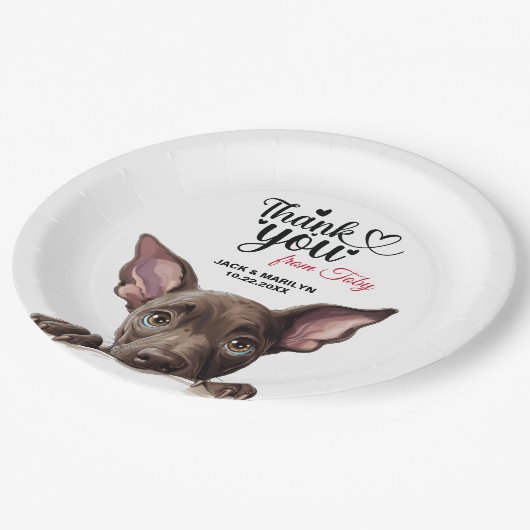 Xoloitzcuinti Dog Pappteller (Schrägansicht)