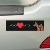Xoloitzcuintle Autoaufkleber (Auf Auto)