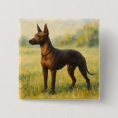 Xoloitzcuintle Button (Vorderseite)