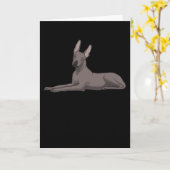 Xoloitzcuintle Dog Karte (Gelbe Blume)