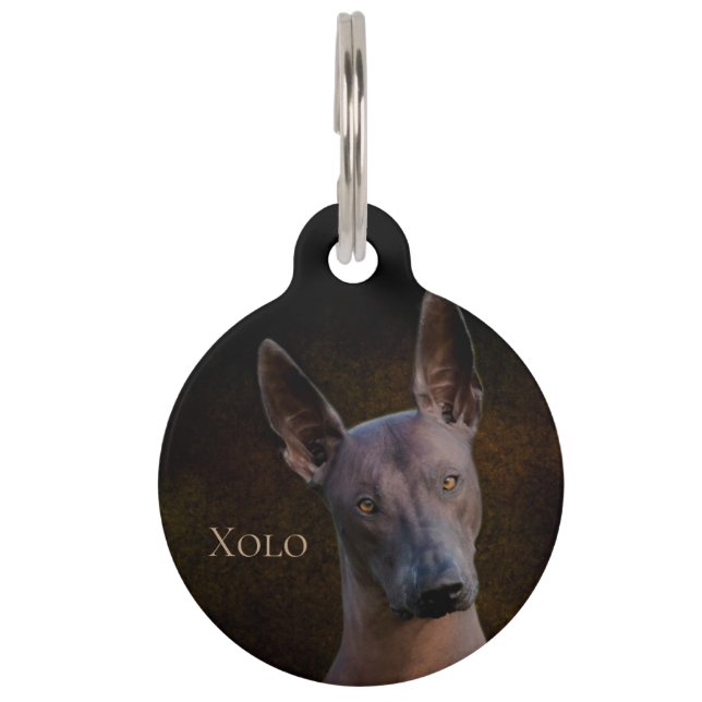 Xoloitzcuintle Haustiermarke (Vorderseite)