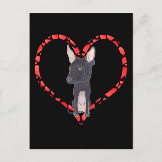 XOLOITZCUINTLE HEART FEIERTAGSPOSTKARTE (Vorderseite)