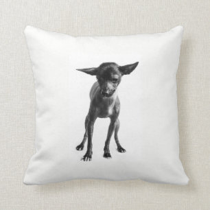 Xoloitzcuintle Kissen