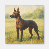 Xoloitzcuintle Magnet (Vorne)