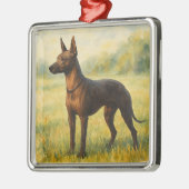 Xoloitzcuintle Ornament Aus Metall (Links)