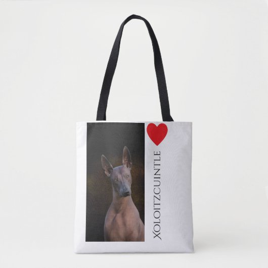 Xoloitzcuintle Taschen-Tasche Tasche (Vorderseite)