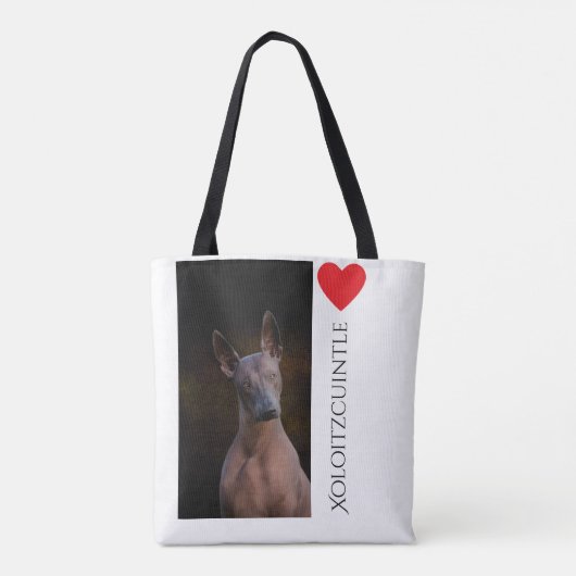 Xoloitzcuintle Taschen-Tasche Tasche (Rückseite)