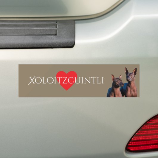 Xoloitzcuintli Autoaufkleber (Auf Auto)