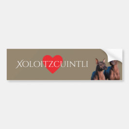 Xoloitzcuintli Autoaufkleber