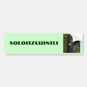 Xoloitzcuintli Autoaufkleber
