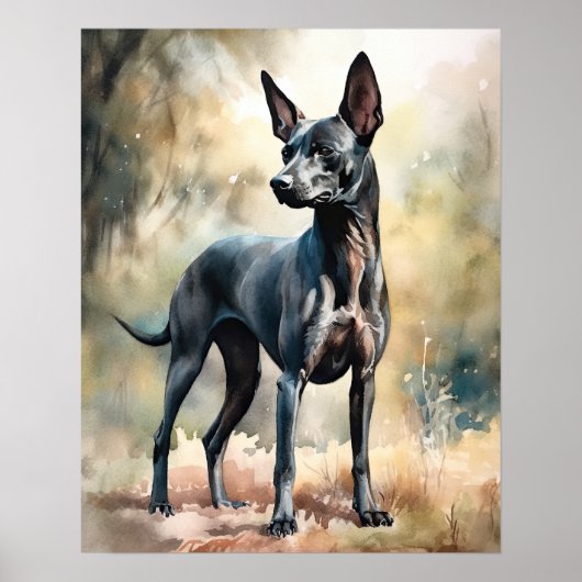 Xoloitzcuintli Dog Art Print Poster (Vorne)