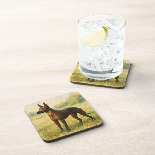 Xoloitzcuintli Getränkeuntersetzer (Rechte Seite)