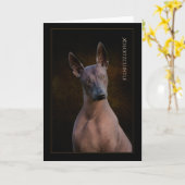 Xoloitzcuintli Grußkarte Karte (Gelbe Blume)