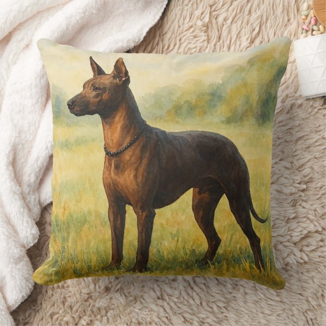 Xoloitzcuintli Kissen (Decke)