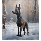 Xoloitzcuintli Lass es schneien Weihnachten Duschvorhang (Vorderseite)