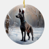 Xoloitzcuintli Lass es Weihnachten Keramik Ornament (Hinten)