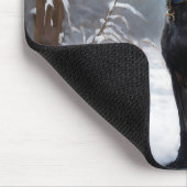 Xoloitzcuintli Lass es Weihnachten Mousepad (Ecke)