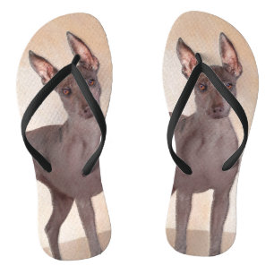 Xoloitzcuintli Malerei - Niedliche Original Dog Ar Badesandalen