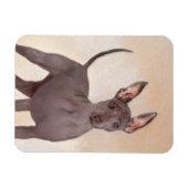 Xoloitzcuintli Malerei - Niedliche Original Dog Ar Magnet (Horizontal)