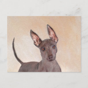 Xoloitzcuintli Malerei - Niedliche Original Dog Ar Postkarte