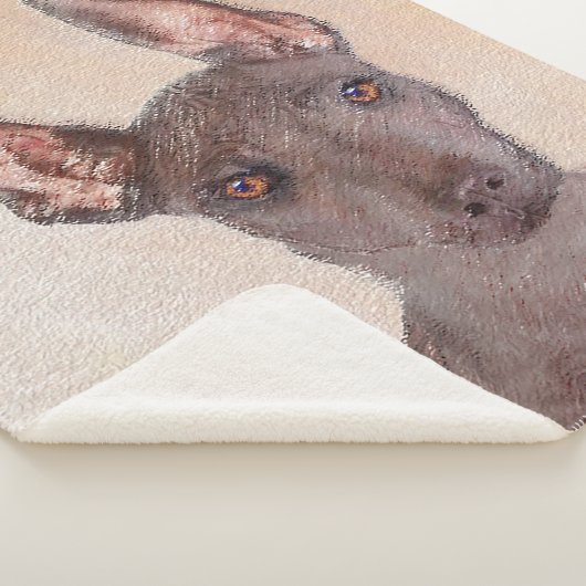 Xoloitzcuintli Malerei - Niedliche Original Dog Ar Sherpadecke (3/4)
