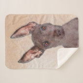 Xoloitzcuintli Malerei - Niedliche Original Dog Ar Sherpadecke (Vorderseite (Horizontal))