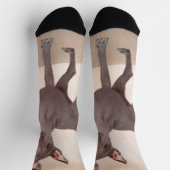 Xoloitzcuintli Malerei - Niedliche Original Dog Ar Socken (Oben)