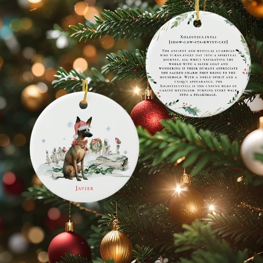 Xoloitzcuintli | Mexikanischer Frischhund mit Wass Keramik Ornament