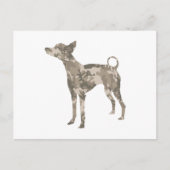 Xoloitzcuintli Postkarte (Vorderseite)