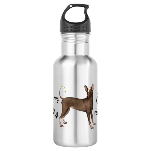 Xoloitzcuintli Rescue Edelstahlflasche (Vorderseite)