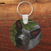 Xoloitzcuintli Schlüsselanhänger (Vorderseite)