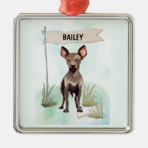 Xoloitzcuintli Wasserfarben personalisierter Hund