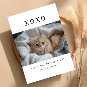 XOXO Einfaches Retro-Katze Kätzchen Foto Valentins Feiertagskarte