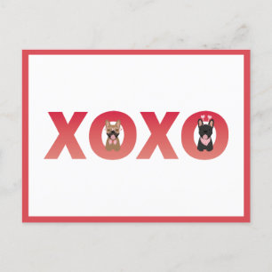 XOXO French Bulldogs Postkarte
