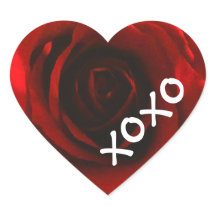 XOXO-Rote Rose