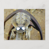 xoxo, Troy... Hi Cherie...LOL... oder ist es O.M.G Postkarte (Vorderseite)